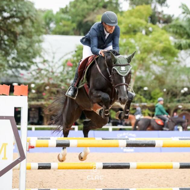 ALICE DES FLANDRES DAS UMBURANAS X EMERALD VAN T RUYTERSHOF