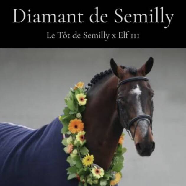 ZAHA JC X DIAMANT DE SEMILLY 