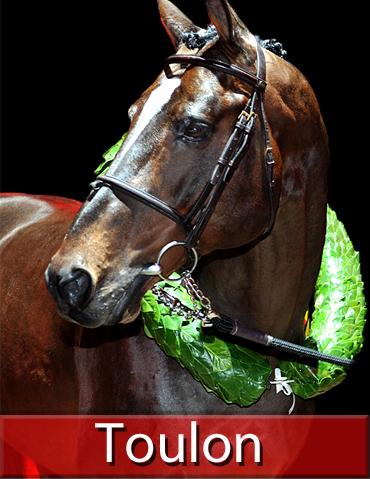 PALOMA TOK X TOULON