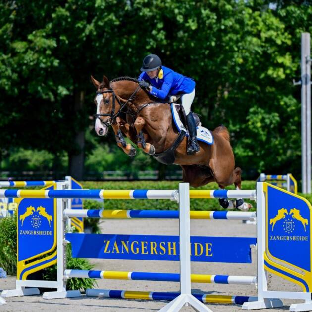 HVM DORAL X AGANIX DU SEIGNEUR Z